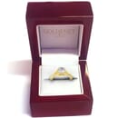 GN9113 in ring box