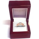 GN9165 in ring box