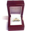 GN9190 in ring box